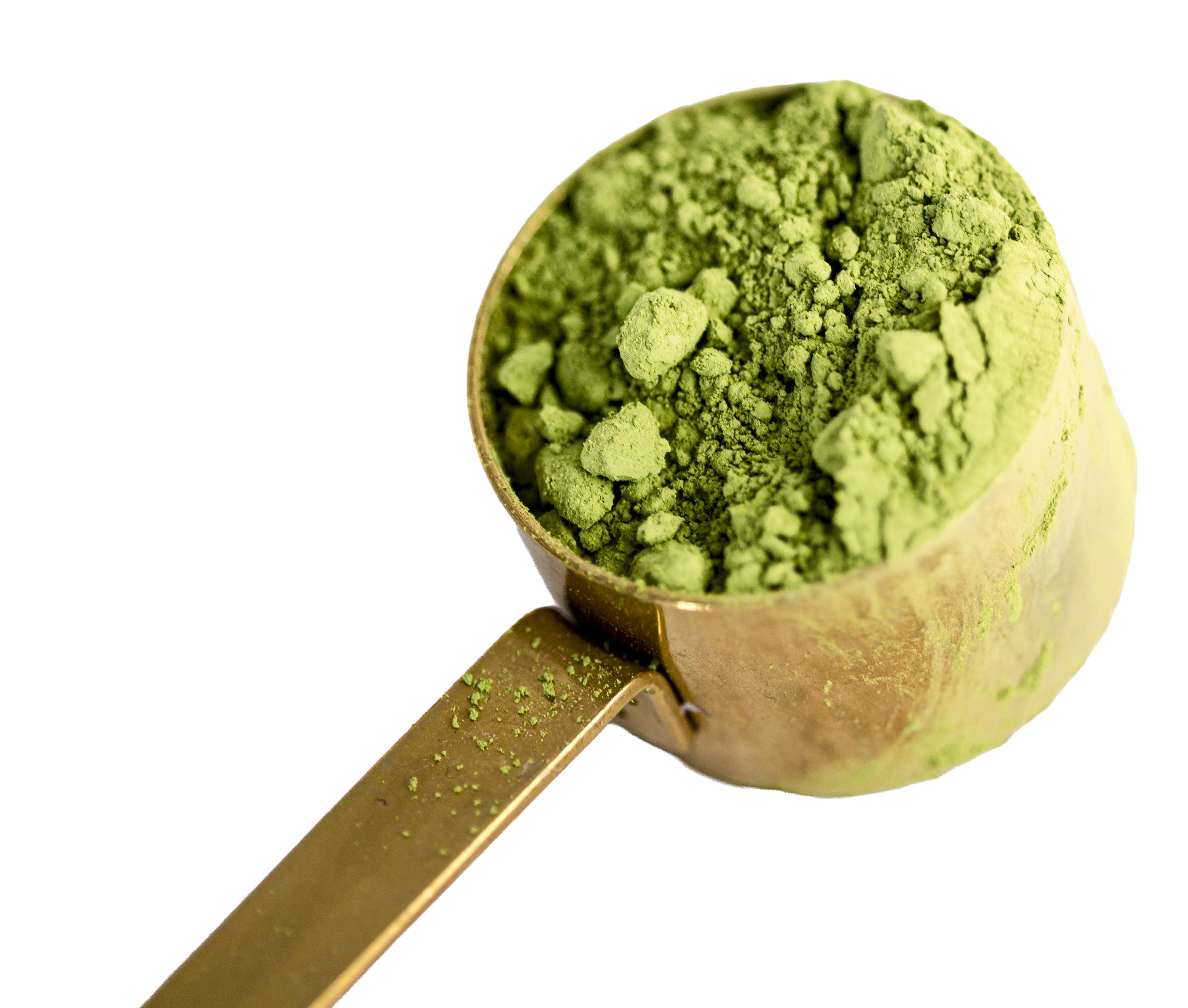 A scoop of vibrant green microgreen powder